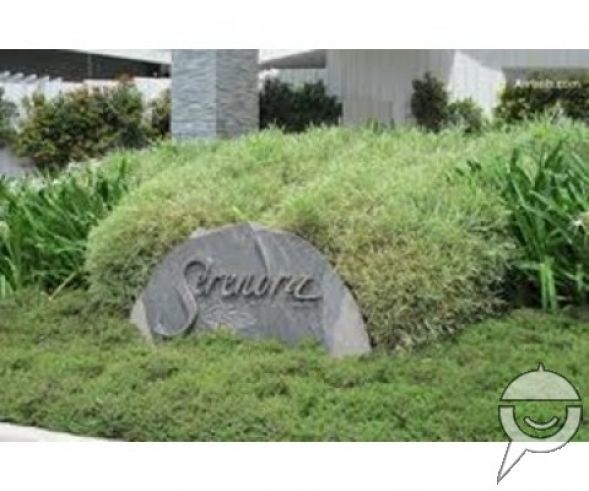 Cool and Charming 1Br Two Serendra The Meranti Condo04