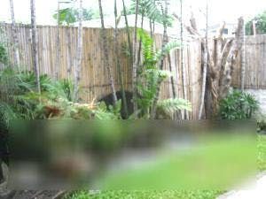 "3BR House for Rent in San Lorenzo Village, Makati"06
