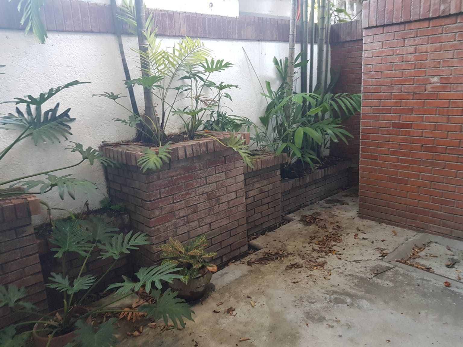 "4BR House for Rent in Forbes Park, Makati"05