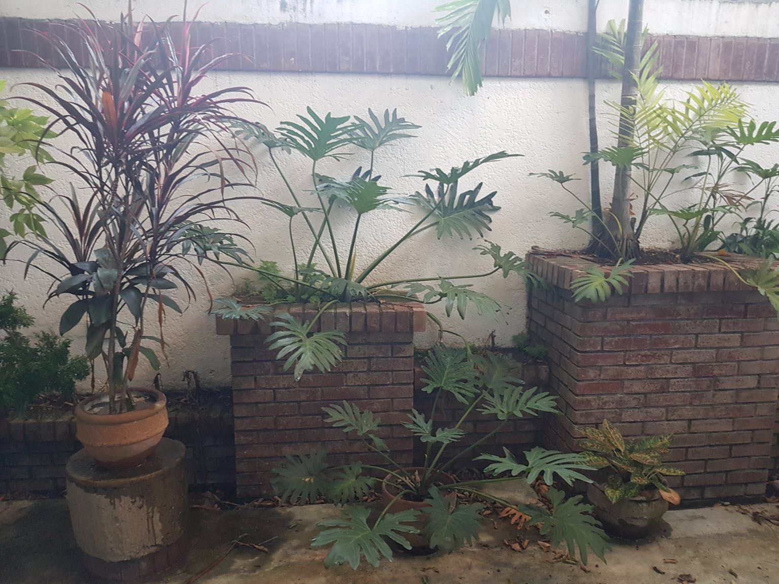"4BR House for Rent in Forbes Park, Makati"07