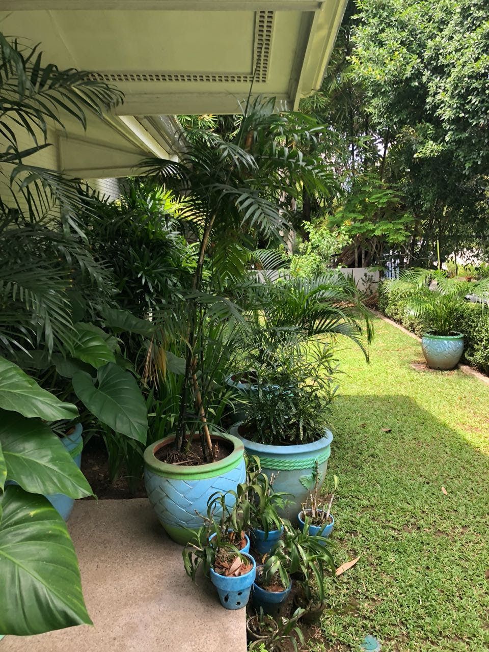 "4BR House for Rent in Urdaneta Village, Makati"07