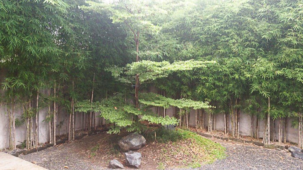 "3BR House for Rent in San Lorenzo Village, Makati"10