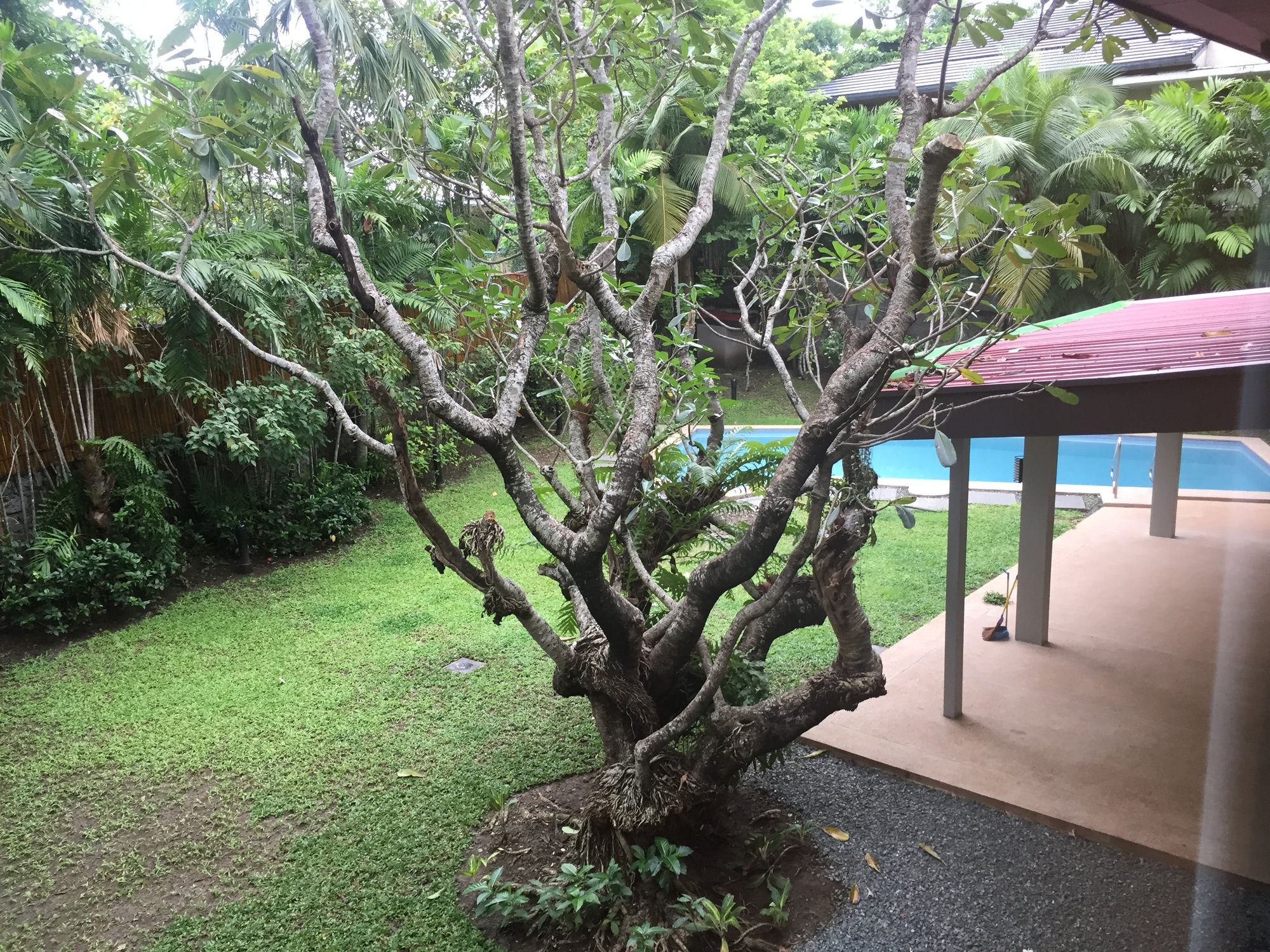 "4BR House for Rent in Dasmari?as Village, Makati"05
