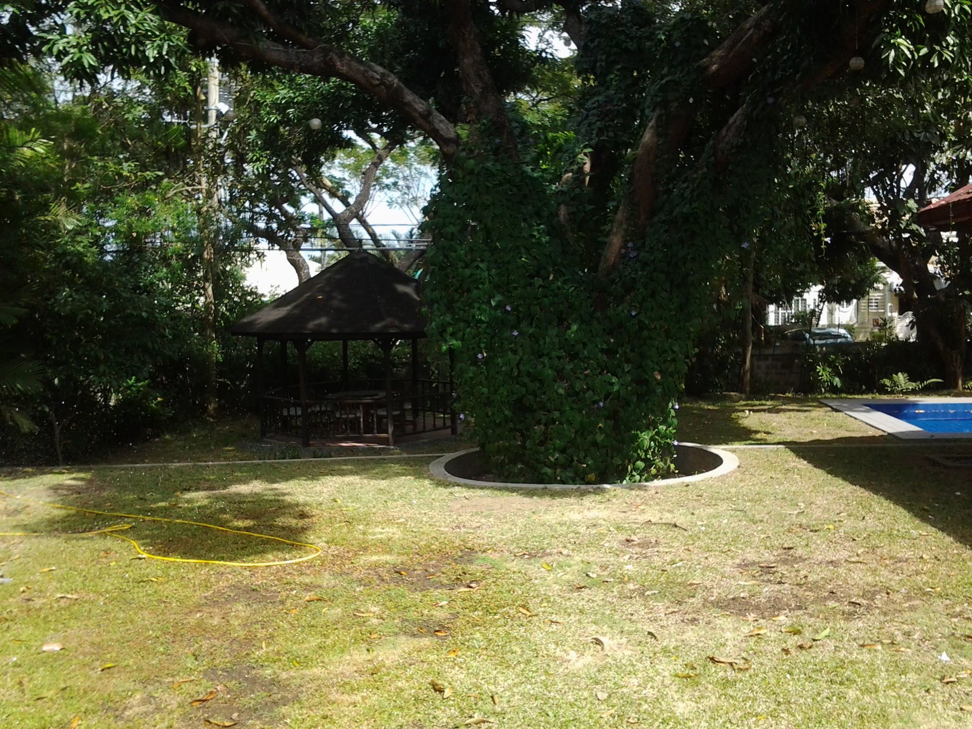 "5BR House for Rent in ,"09