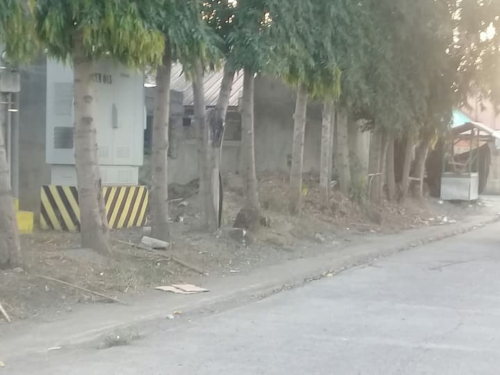 Cauayan City、フィリピンのゲストルーム04