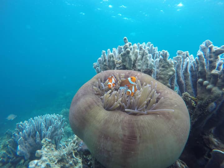 El Nido、フィリピンの島07
