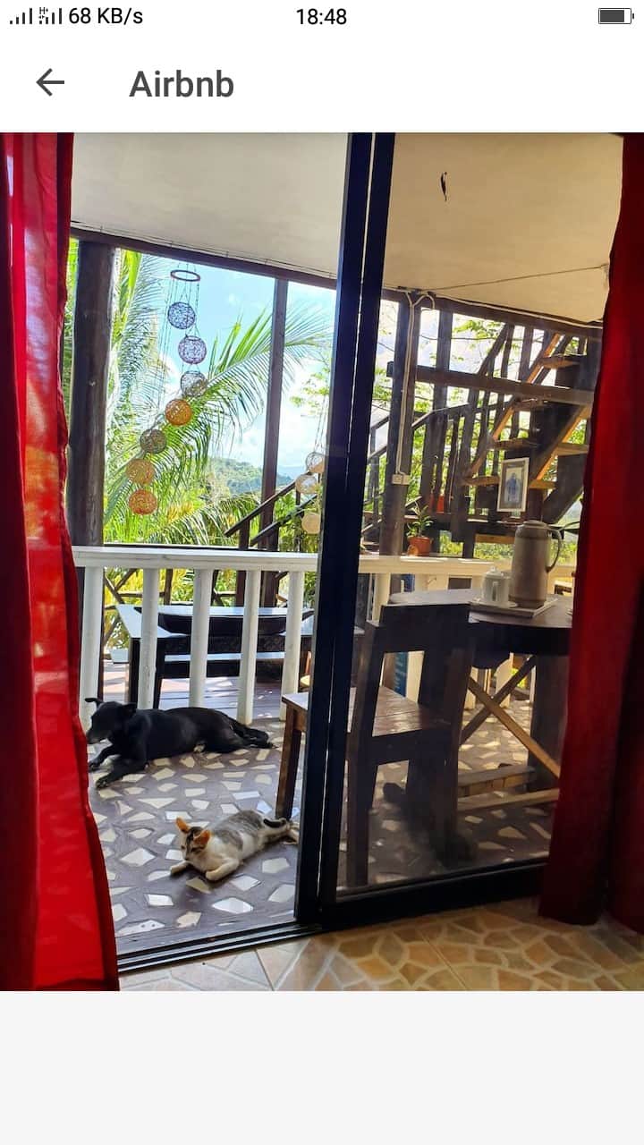 El Nido、フィリピンの離れの個室07