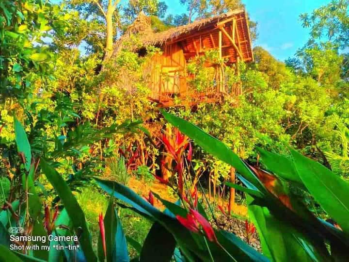 Busuanga、フィリピンのツリーハウスの個室02