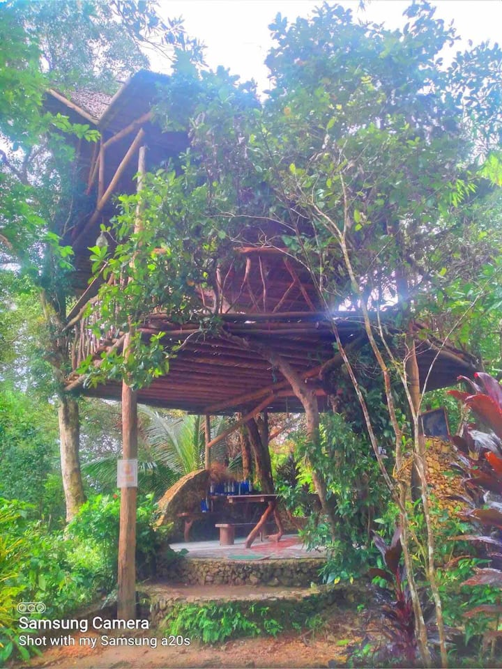 Busuanga、フィリピンのツリーハウスの個室05