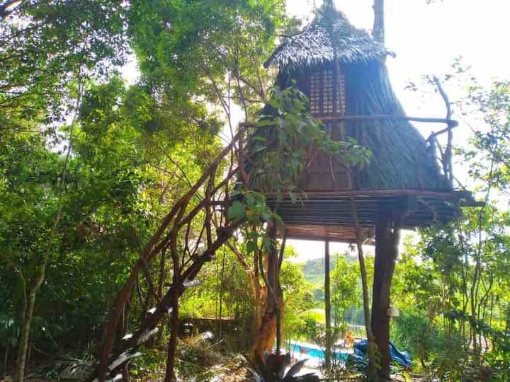 Busuanga、フィリピンのツリーハウスの個室06