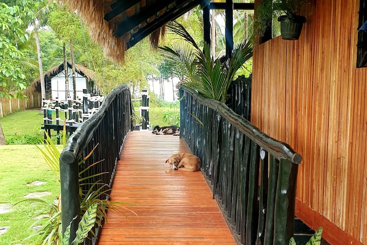 Lumambong Beach、フィリピンのテント08