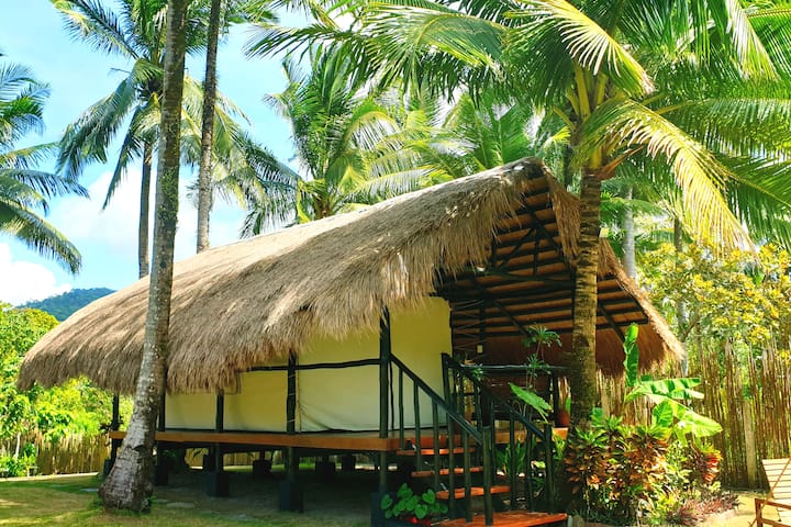Lumambong Beach、フィリピンのテント08