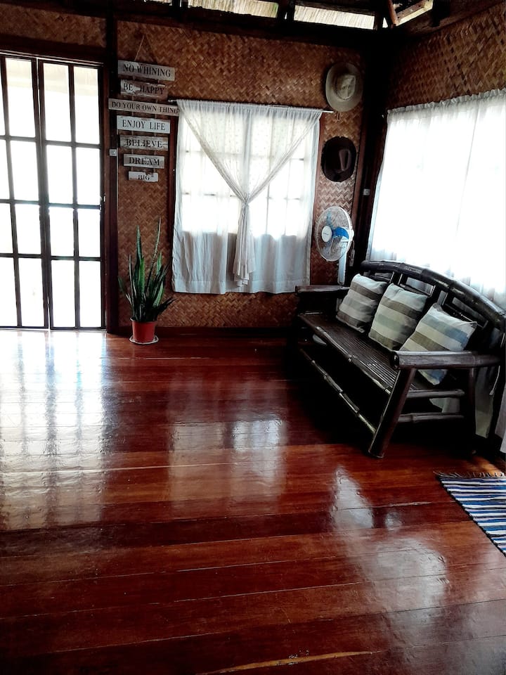 San Vicente、フィリピンのまるまる貸切の住宅07