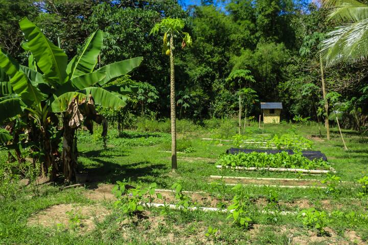 Coron、フィリピンのコテージの個室