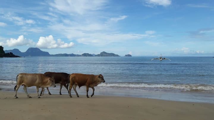 El Nido、フィリピンの離れの個室08