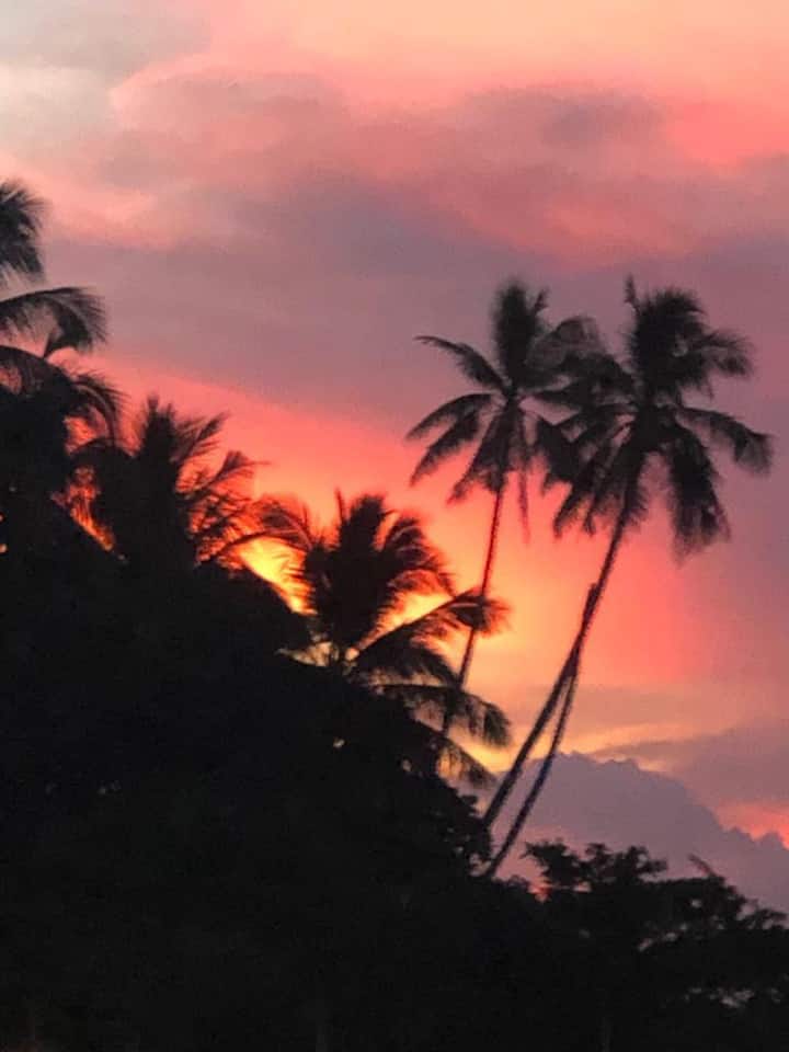 Island Garden City of Samal、フィリピンのまるまる貸切のコンドミニアム03