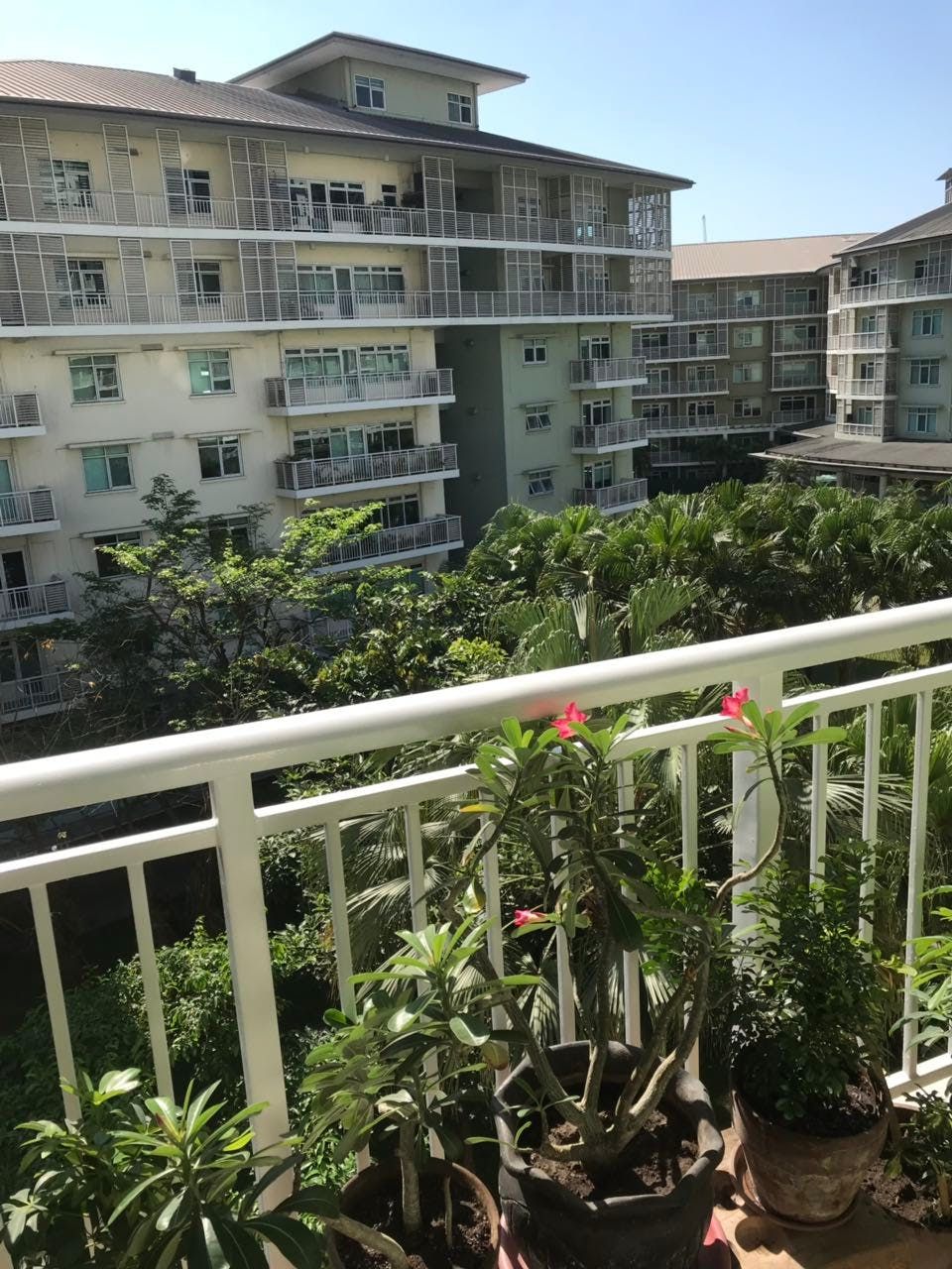 "2BR Condo for Rent in One Serendra, BGC - Bonifacio Global City, Tagui"04